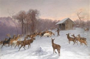 Futterung Von Dam- Und Rotwild Im Winter