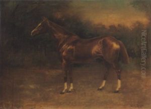 Versenylo (yellow Horse) Versenylo (yellow Horse)