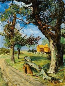 A Country Road by Marius Richters
