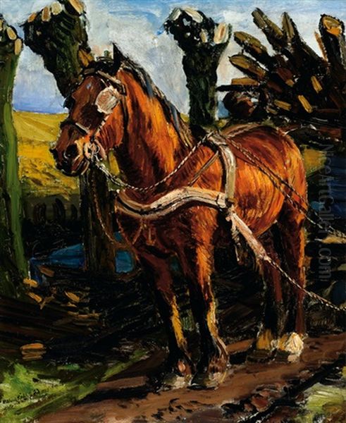 A Horse And Cart - view 1