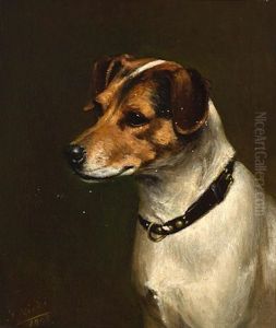 The Attentive Dog, A Jack Russell Terrier