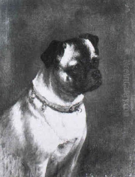 A Pug Wearing A Red Collar - view 1