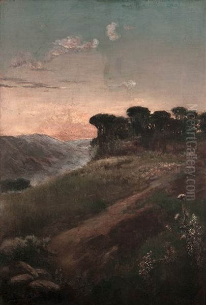 Paisaje Del Atardecer - view 1