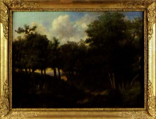 Paysage De Foret - view 1
