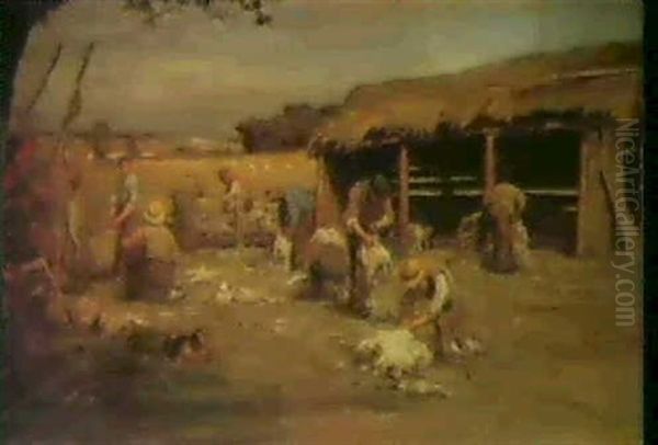 At The Shearing-shed - view 1