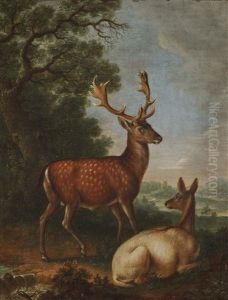 Fallow Deer At The Edge Of The Forest by Johann Elias Ridinger or Riedinger