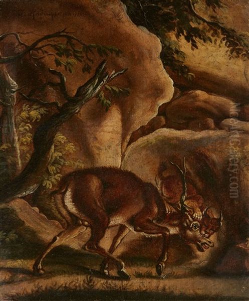 A Lynx Attacking A Stag - view 1