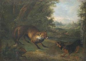 Ein Dackel Und Ein Fuchs Begegnen Sich Am Wald by Johann Elias Ridinger or Riedinger