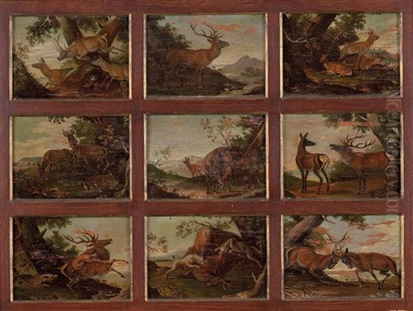 Szenen Aus Dem Leben Der Hirsche Und Rehe (9 Works Framed Together) - view 1