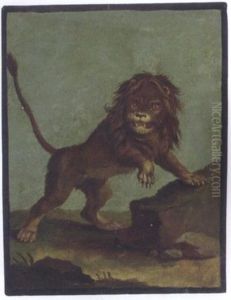 Study Of A Lion by Johann Elias Ridinger or Riedinger