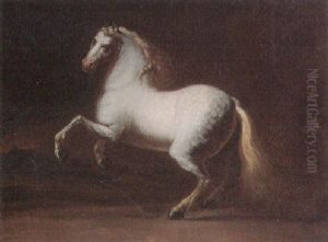 Portrait Eines Schimmels Vor Nachtdunkler Landschaft by Johann Elias Ridinger or Riedinger