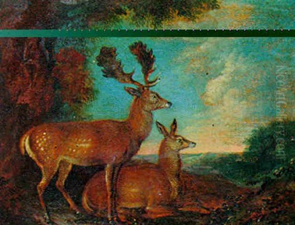Cerf Et Biche - view 1