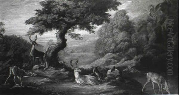 Deer In A Wooded Landscape - view 1