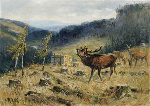 Rotwild Auf Einer Lichtung Im Erzgebirge - view 1