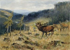 Rotwild Auf Einer Lichtung Im Erzgebirge