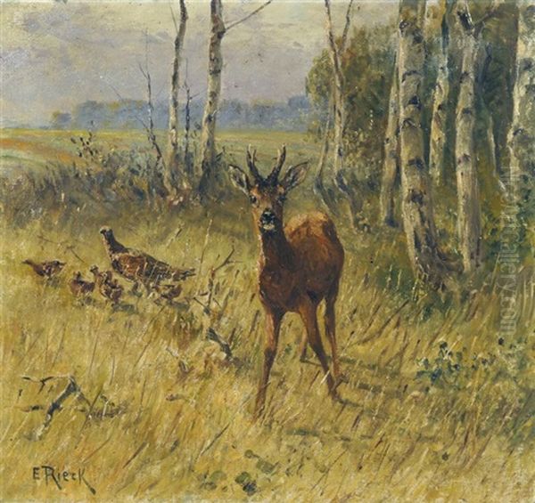 Rehbock Und Fasane Am Waldrand - view 1