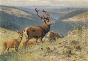 Royal Stag Leading Hinds