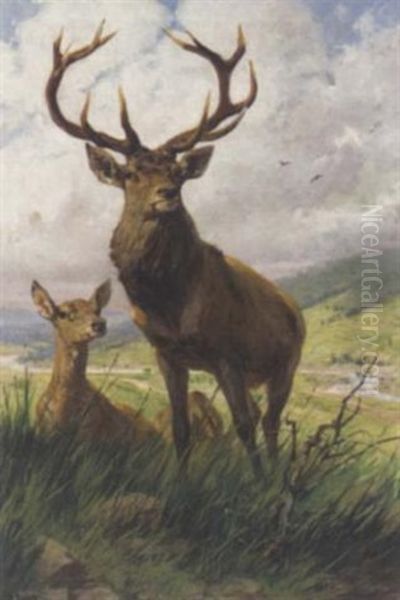 A Stag And Hinds - view 1