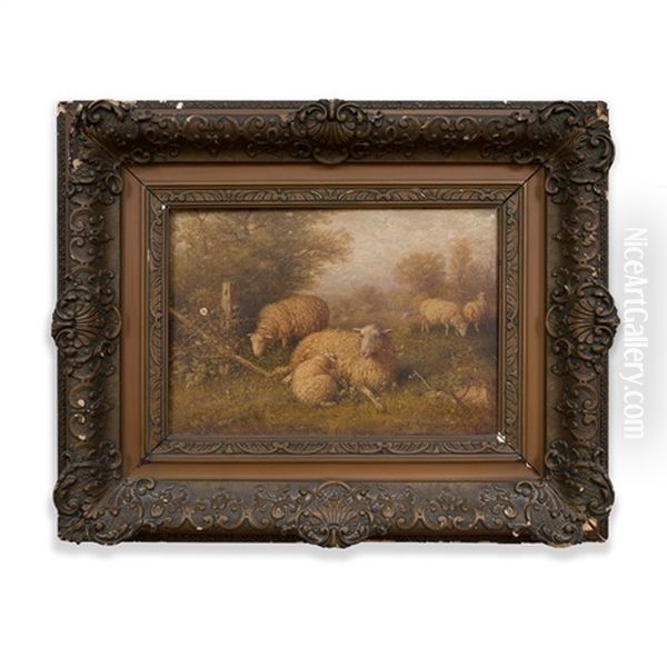 Sheep In A Meadow - view 1