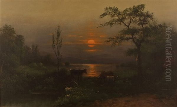Summer Evening In Long Island - view 1