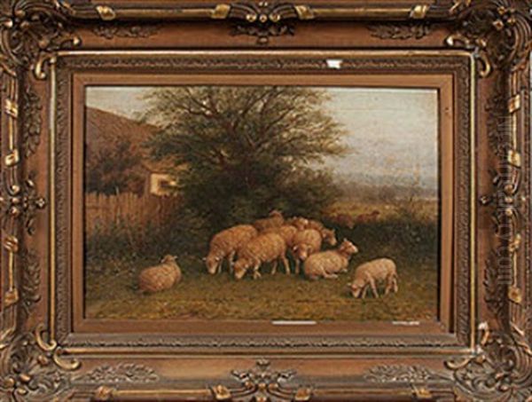 Landscape With Sheep - view 1