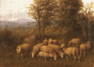 Untitled (sheep In A Meadow) by George Riecke