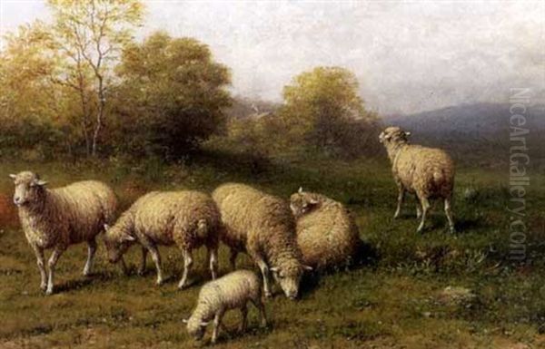 Sheep Grazing - view 1