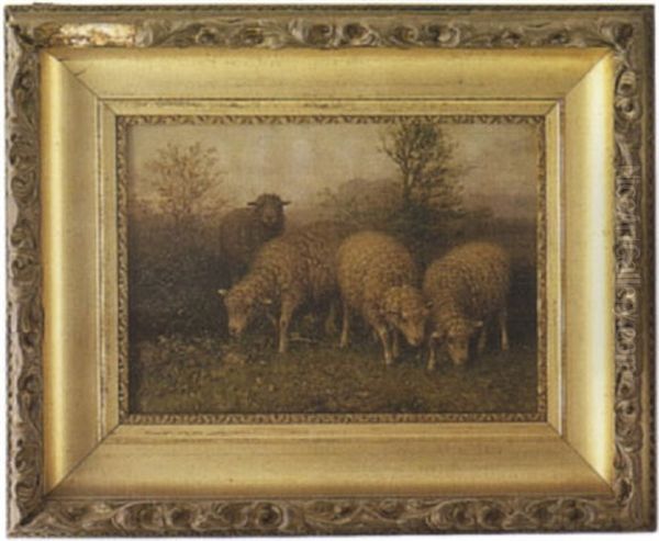 Sheep Grazing - view 1