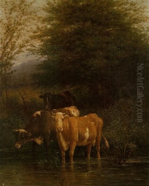 Cattle Watering - view 1