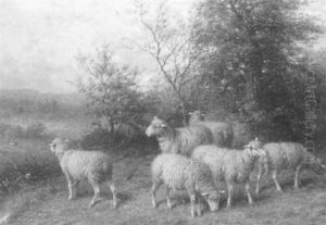 The Little Flock The Little Flock