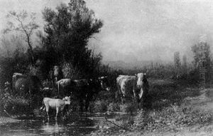 Cows By The River Cows By The River