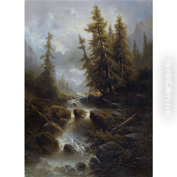 Reissender Wildbach - view 1