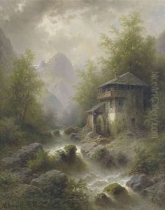 Wildbach Mit Waldmuhle