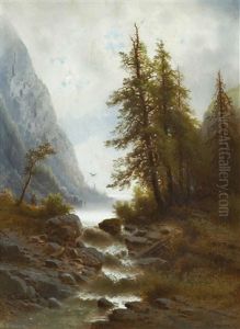 Wildbach Wildbach