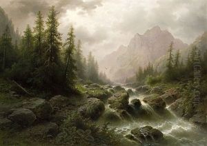 Wildbach Im Grosglocknergebirge