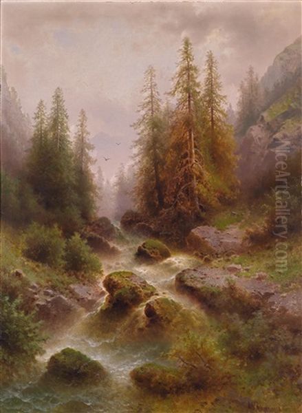 Wildbach In Der Schweiz - view 1