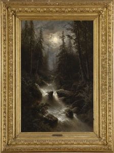 Wildbach Bei Vollmond