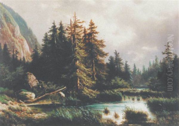 Waldlandschaft Mit Teich - view 1