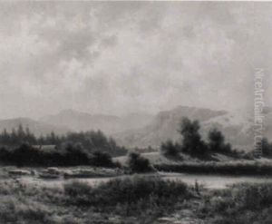 Fluslandschaft Im Sonnenlicht