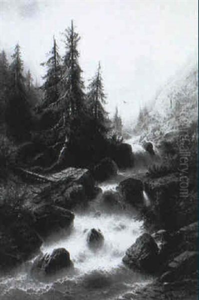 Torrent Et Coniferes - view 1
