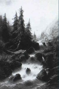 Torrent Et Coniferes