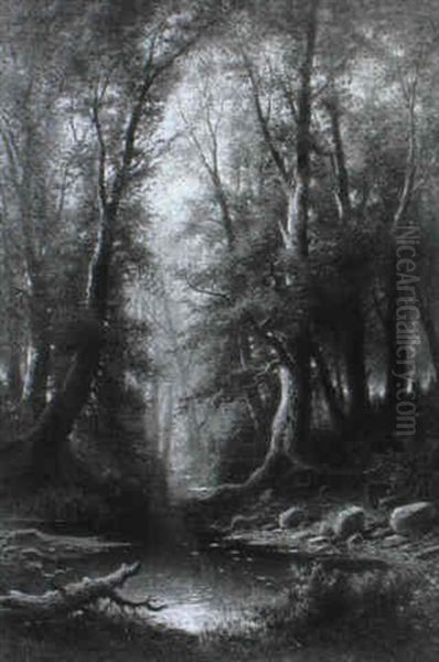 Waldeinsamkeit: Stilles Wasser Im Buchenwald - view 1