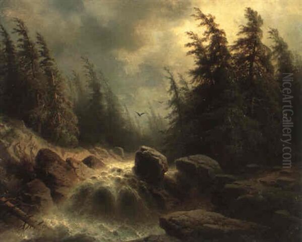 Alpine Landscape With Rapids - view 1