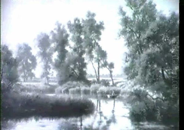 Teichlandschaft - view 1