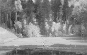Wiese Und Wald (erzgebirge) by Paul Riess