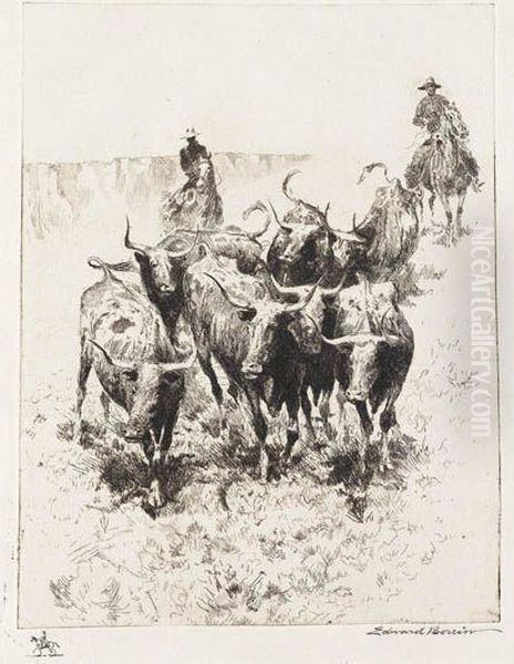 Longhorns - view 1