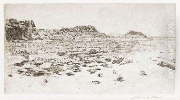 The Desert - view 1