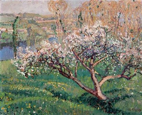 Apple Tree In Bloom - view 1