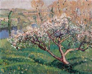 Apple Tree In Bloom
