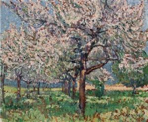 Trees In Blossom